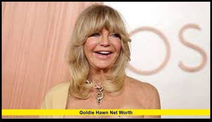 Goldie Hawn Fortune