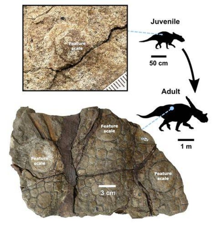 Paleoworld101