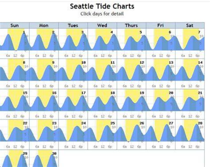 The Tide: A Year In Review 1
