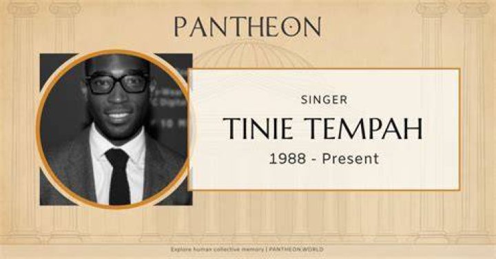Tinie Tempah Biography Infographic